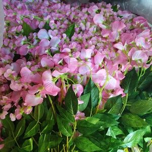 Wisteria hanging flower 24 silk artificial decor